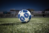 阿根廷国家足球队队徽